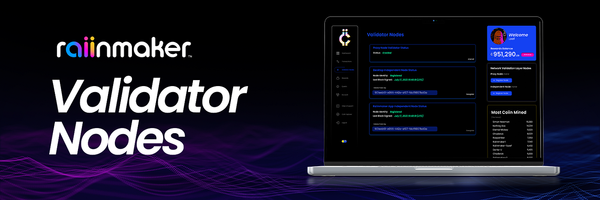 [TUTORIAL] Raiinmaker Network: How to Set Up a Validator Node
