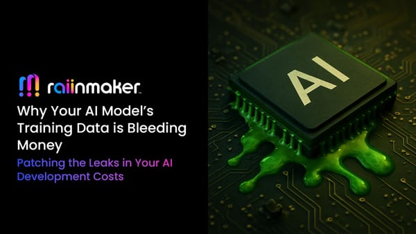Why Your AI Model’s Training Data is Bleeding Money